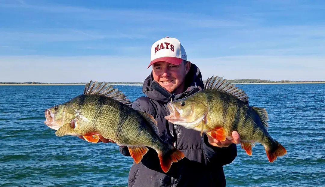 Facebook - 100% fish du Lac du Der