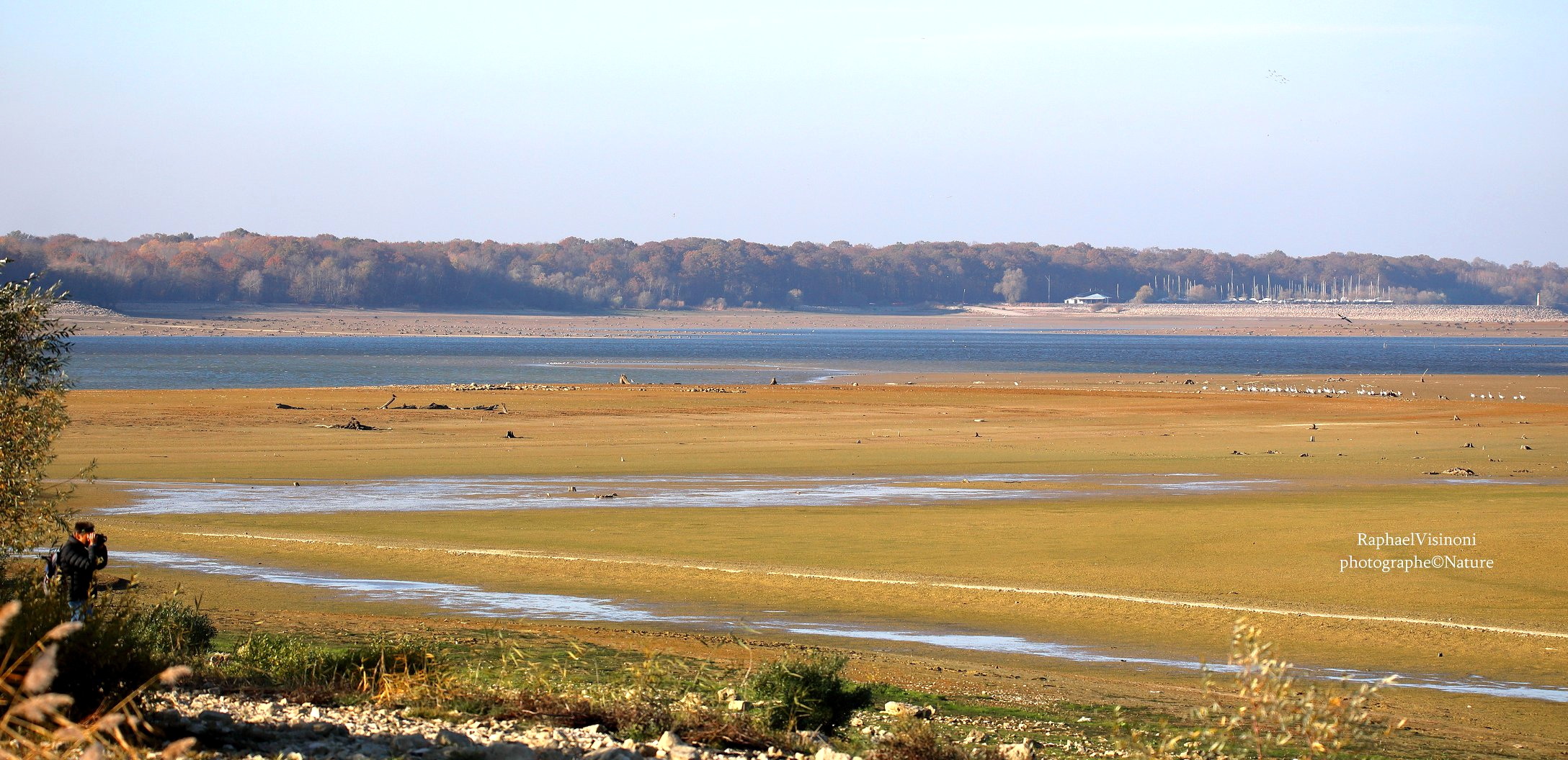 Facebook - Lac du Der
