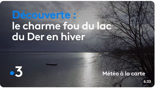 Youtube - Le charme fou du lac du Der en hiver - Météo à la carte